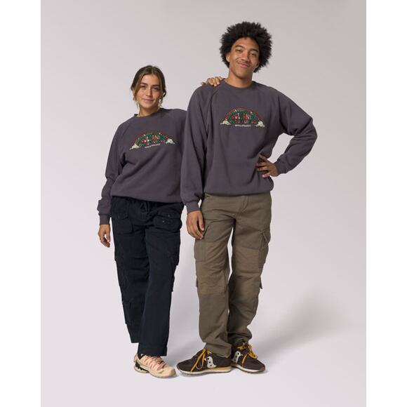 NWT Parks Project Hawai‘i Geological Wonderlands Crew in Grey size XL - Picture 1 of 8